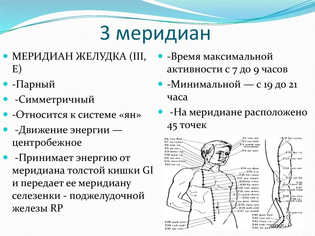 Меридианы человека презентация. Меридиан желудка Меридиан. Акупунктурные точки меридиана желудка. Меридиан желудка биологически активные точки. Меридианы имеют направление