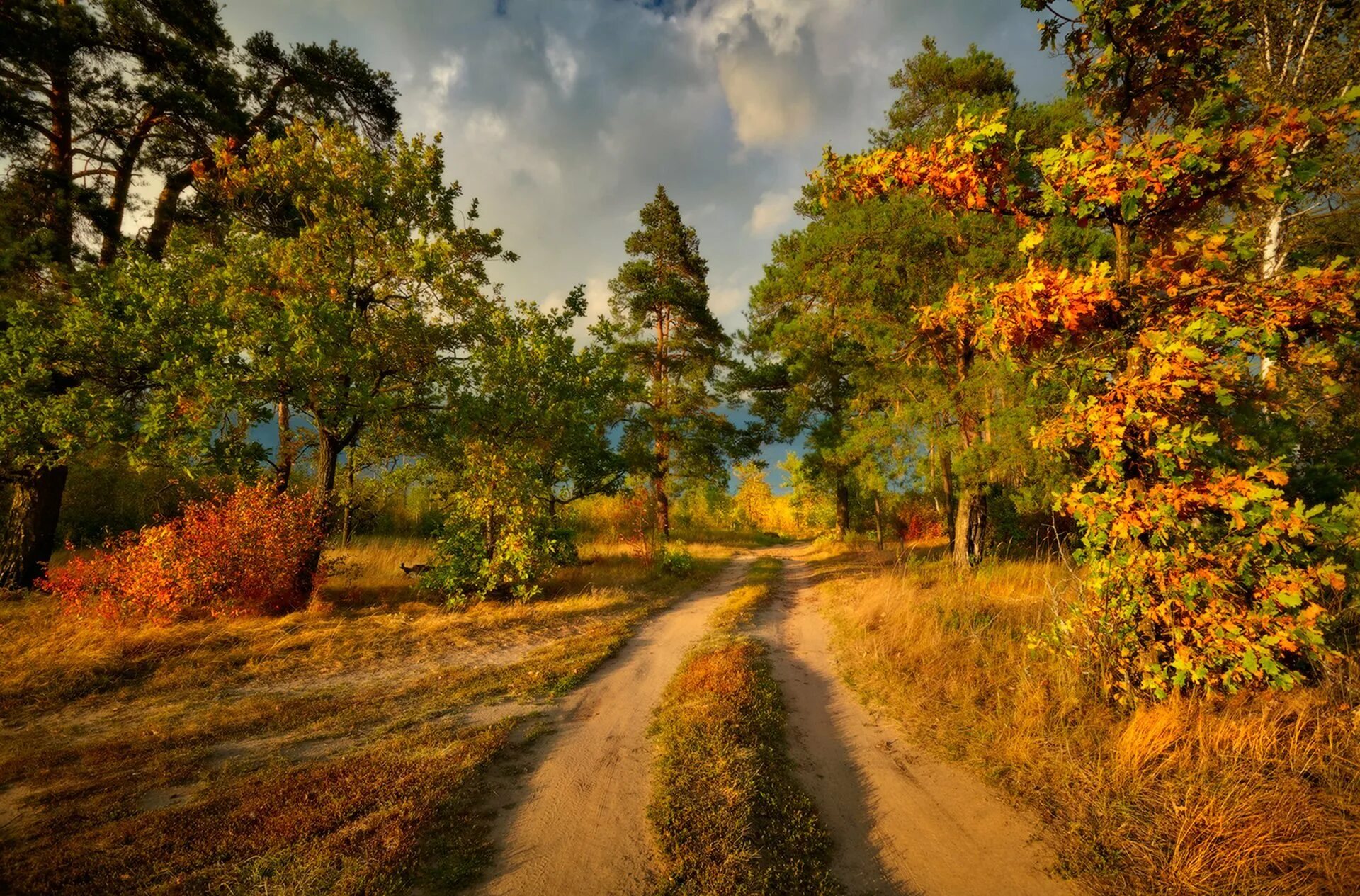 Осенние пейзажи осени. Природа осень. Красивая осень. Осенний лес. Природа осенью.