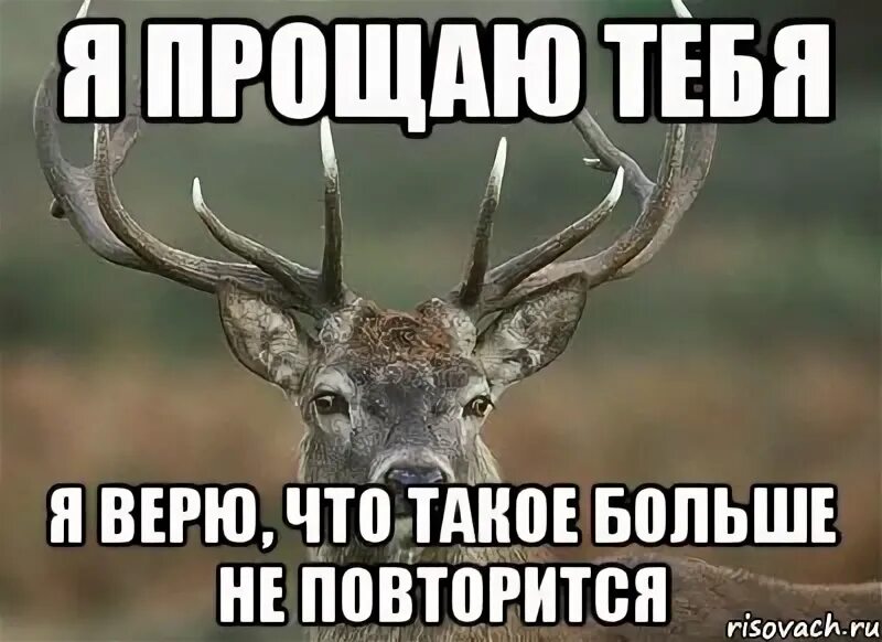 Не верю в срок