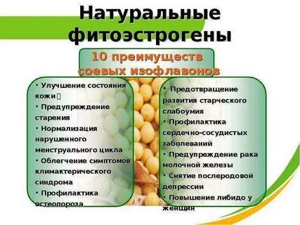 продукты богатые эстрогенами для женщин список: 2 тыс изображений ...