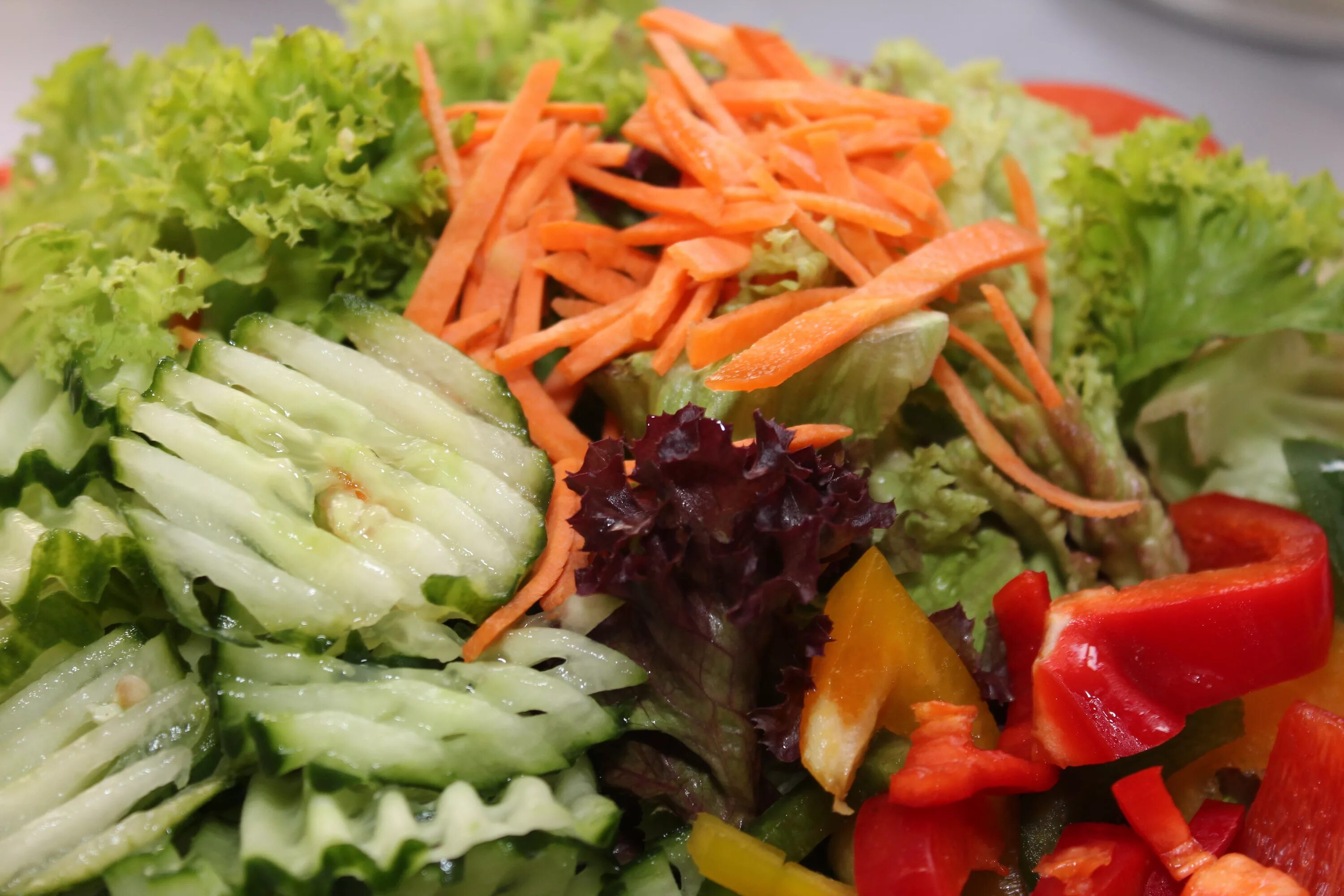 Салат микс. Холодные блюда салаты. Овощи на обед. Салат овощ. Vegetable lunch