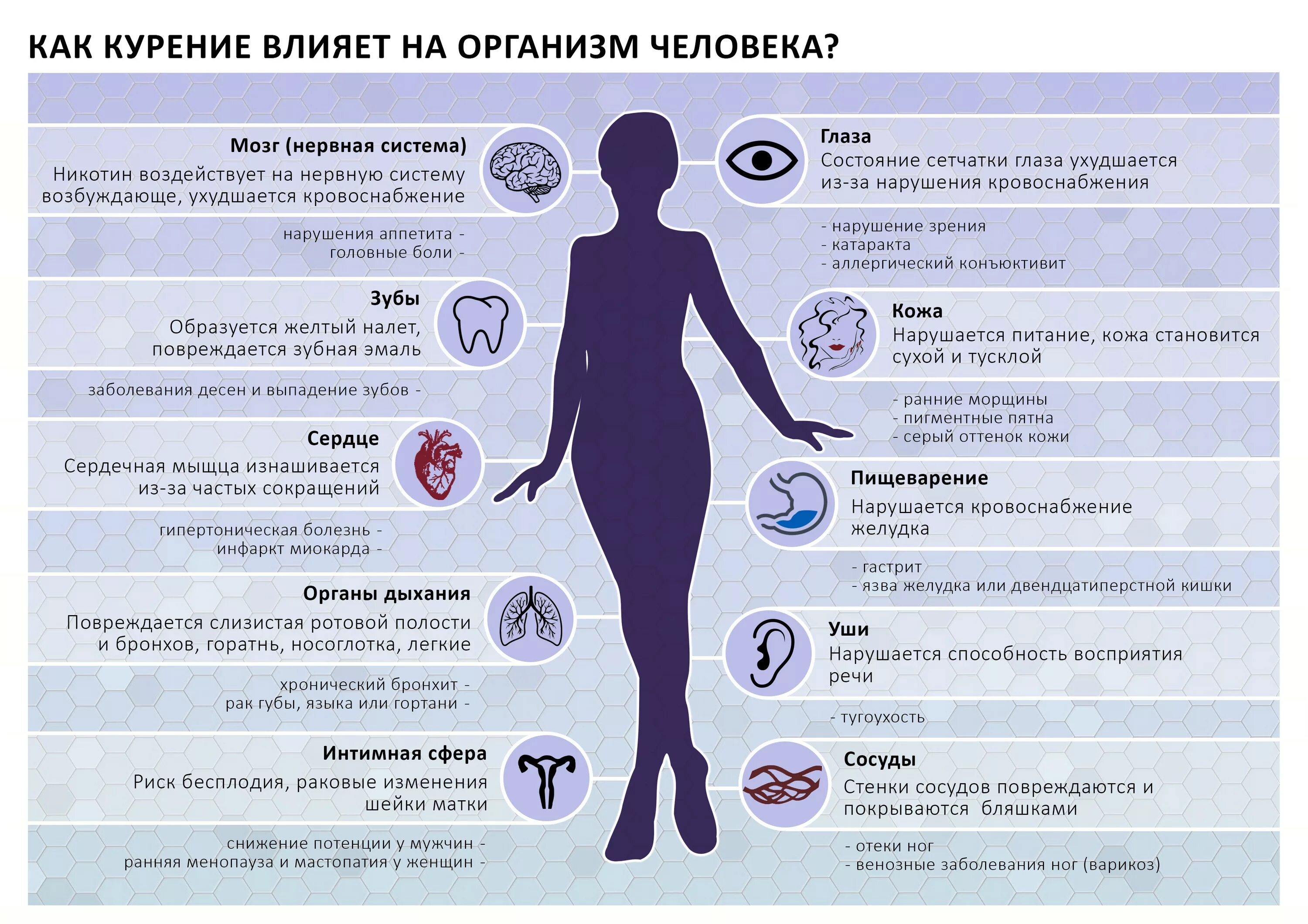 Сильно ли опасно. Как курение влияет на организм человека. Влияние курения на организм. Влияние табакокурения на организм человека. Влияние сигарет на организм человека.