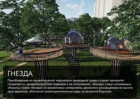 Гнезда воронеж
