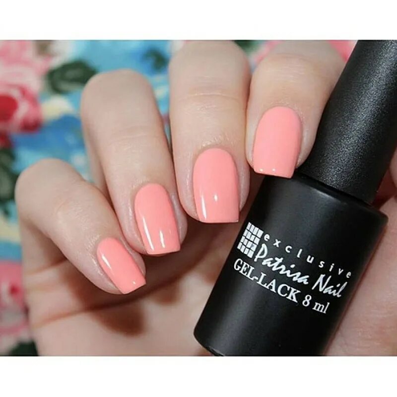 Patrisa nail авангард. о производителе patrisa nail гель лак. патриса нейл. патриса нейл. лаки патриса нейл.