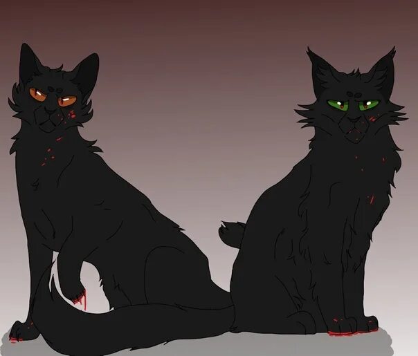 Коты воители фикбук. Коты воители воробей и ветерок шип. Коты воители темнохвост. Коты воители приколы. Коты воители фикбук.