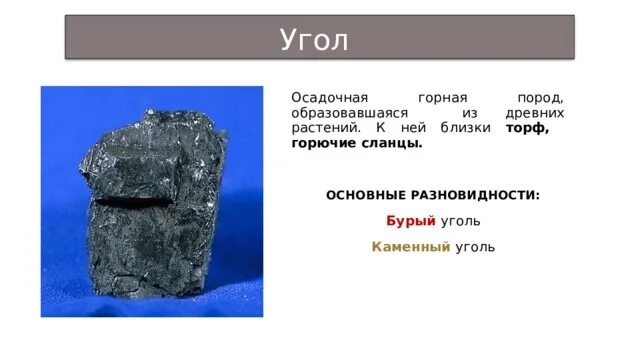 Сравни каменный уголь и торф. Торф. Уголь ,горючие сланцы. Горючий сланец и торф. Каменный уголь образовался из древних. Горючие сланцы торф