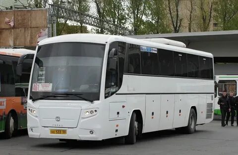 Маршрутный автобус 50