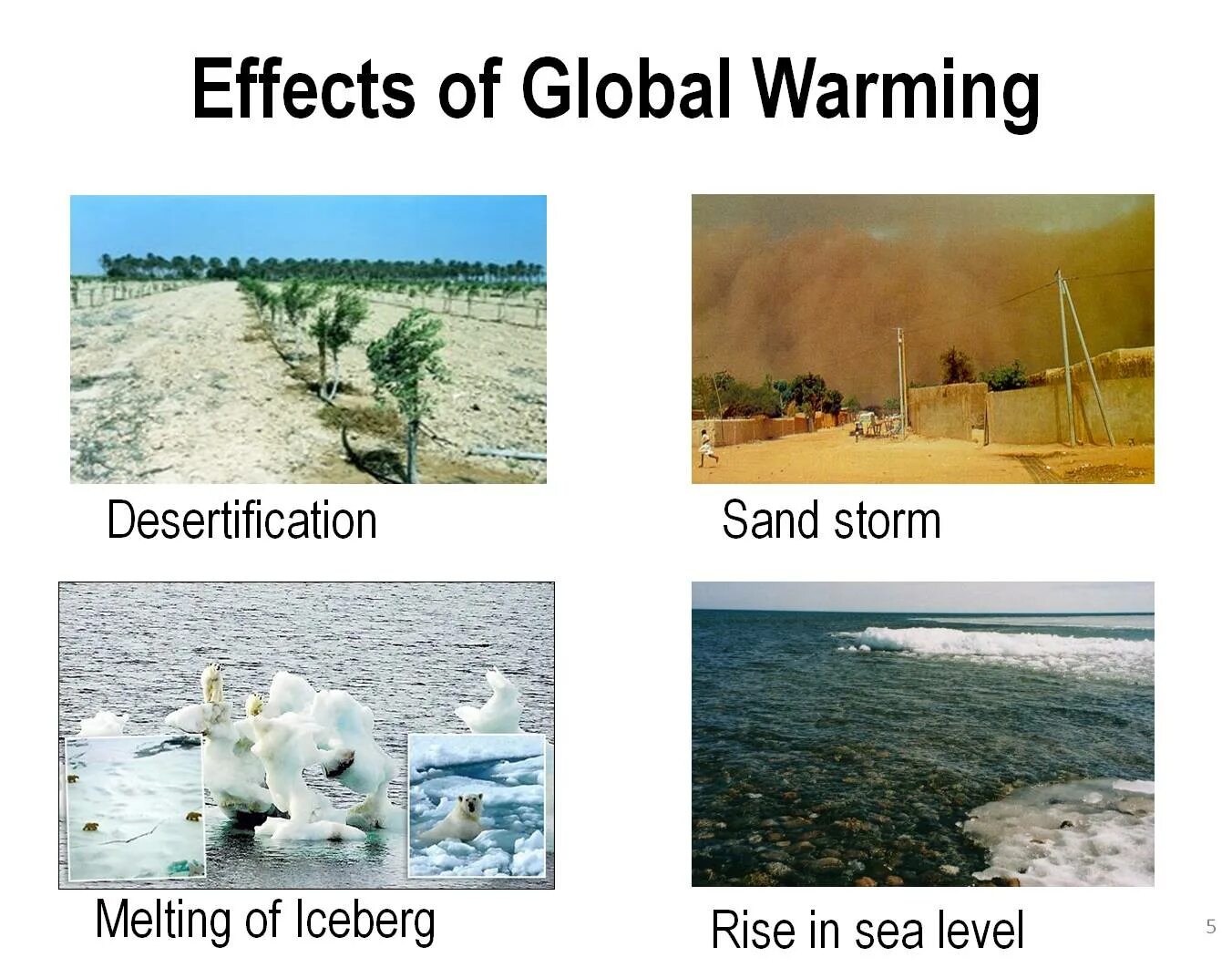 Global warming and its Effects. Глобальное потепление и плесень. Предложение со словом глобальное потепление. Пираты и глобальное потепление. Effects of global warming