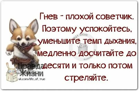 Ненависть плохой советчик тире