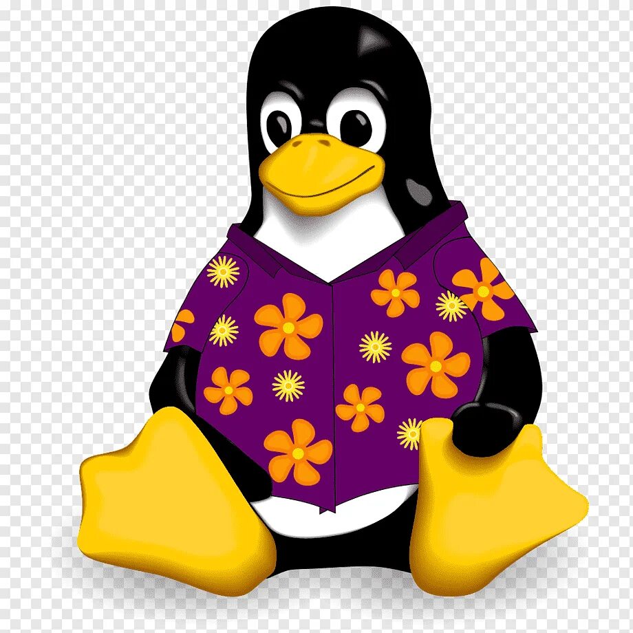 Linux penguin. Тукс линукс. пингвин линукс. linux пингвин tux. пингвин тукс ubuntu.
