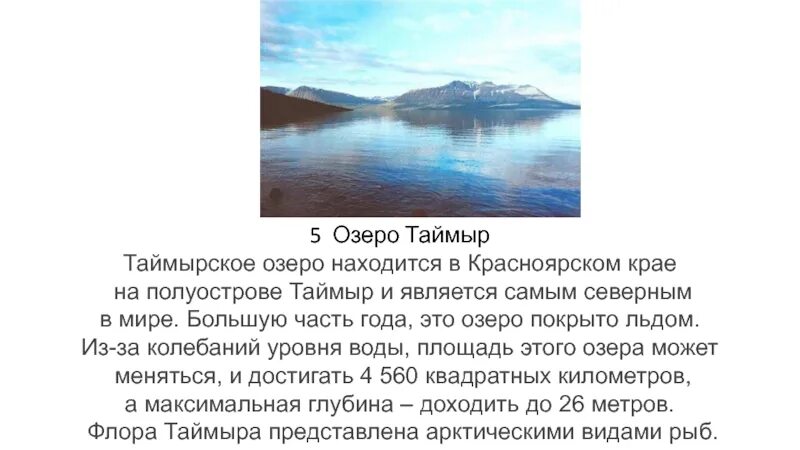 Таймыр озеро на полуострове в Красноярском крае. Озеро Таймыр происхождение. Самое большое озеро в Таймыре. Полуостров Таймыр озёра. На берегах таймырского озера мы часто видели