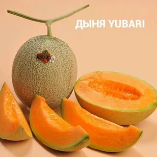 Дыня какой фрукт