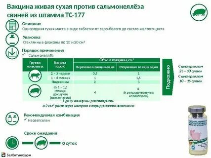 Против рожи свиней штамма