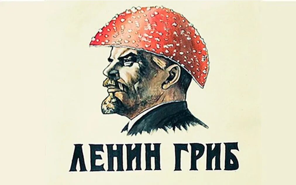 Ленин был грибом. Ленин гриб грибница.