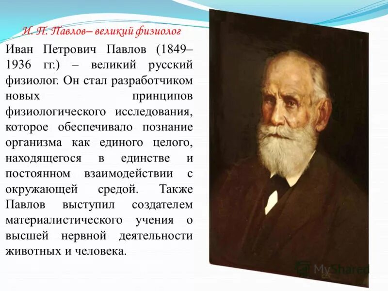 Павлова почему назвали. Павлов и.п. (1849-1936).