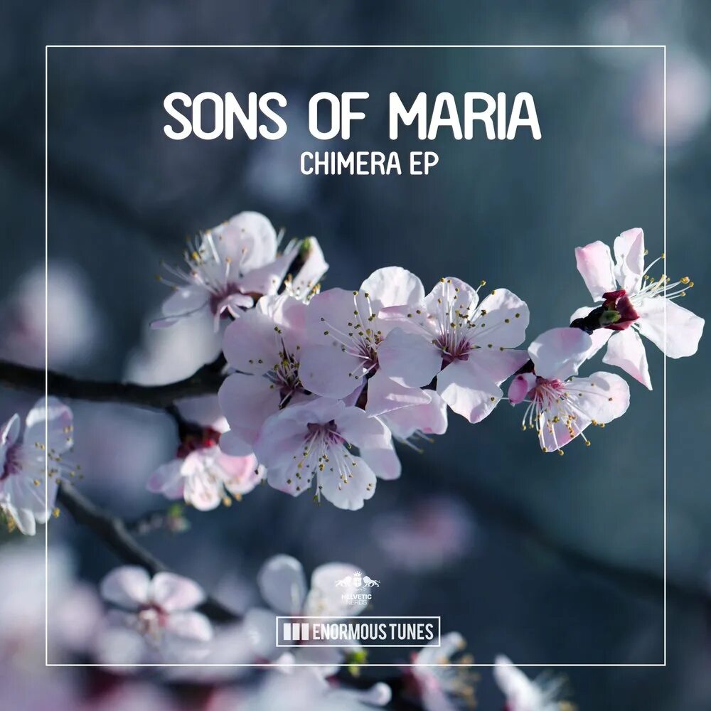 "Sons of Maria" && ( исполнитель | группа | музыка | Music | Band | artist ) && (фото | photo). Sons of Maria певица.