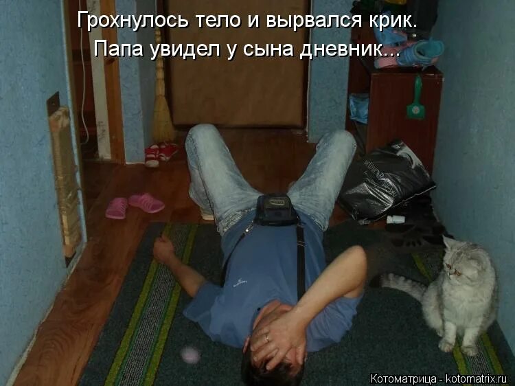 Я на работу прихожу как домой. Пришла с работы упала. кот споткнулся. пришел домой упал и на работу.