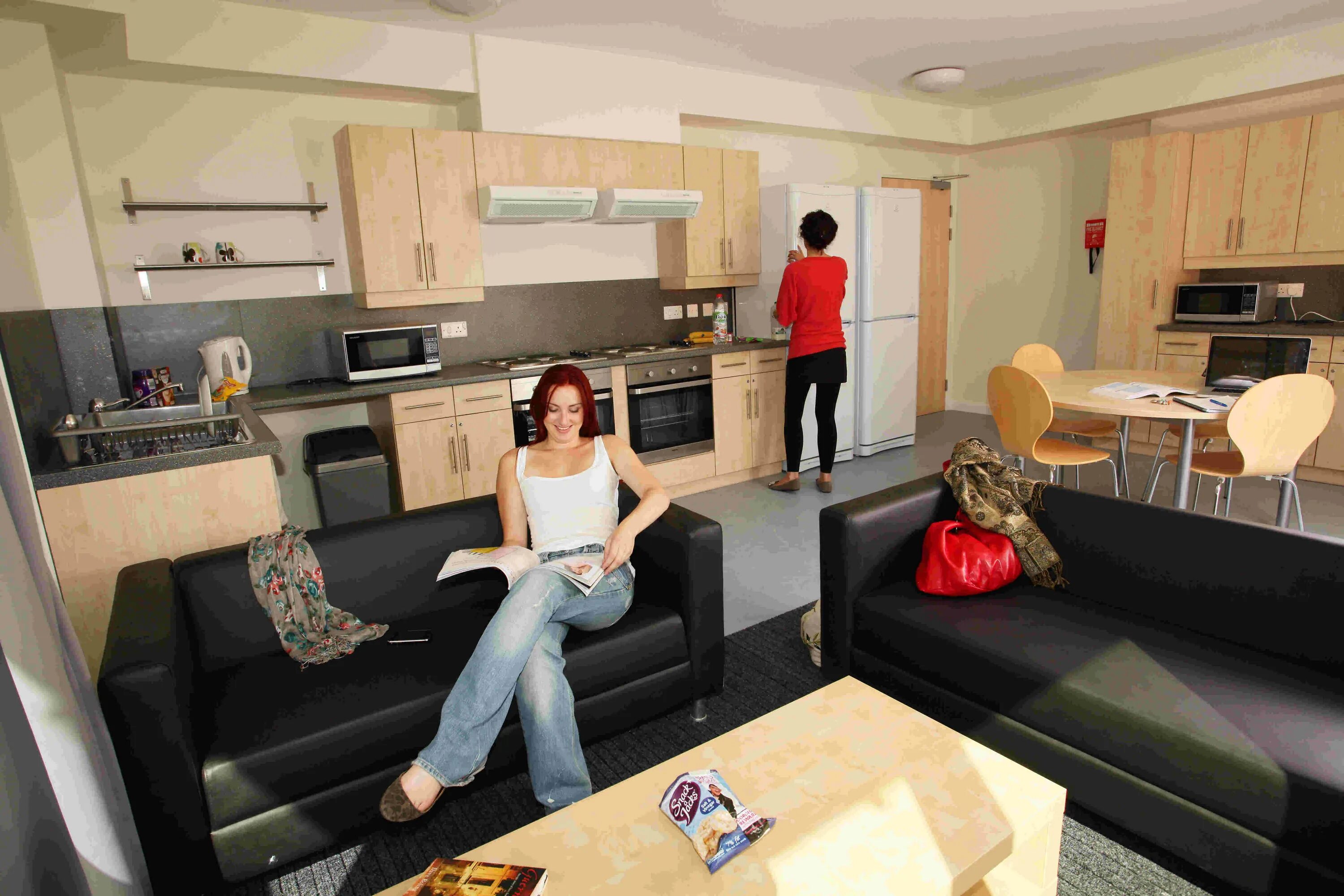 Student Living Room. Rent sharing Series квартира на двоих. Shared Apartment. Students Living House. Share a flat