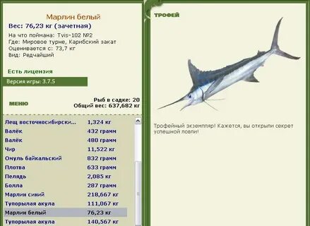 Marlin перевод