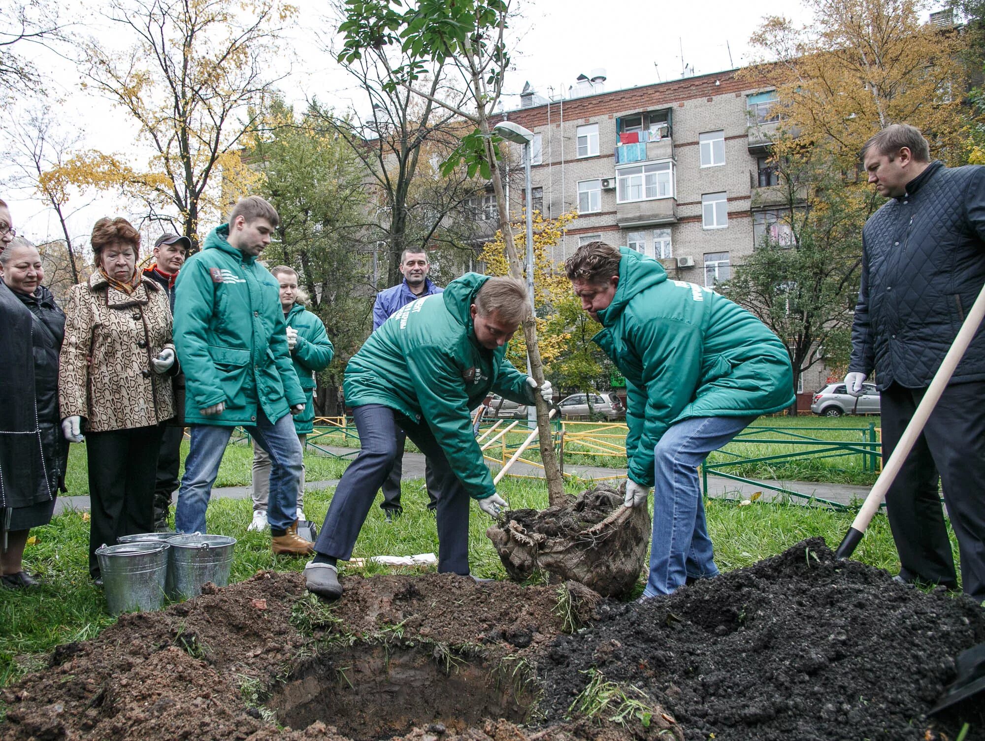 Посадка деревьев во дворе. Кусты во дворе многоквартирного дома. Посадить дерево дворе. Посадить дерево дворе. Высадка кустарников.