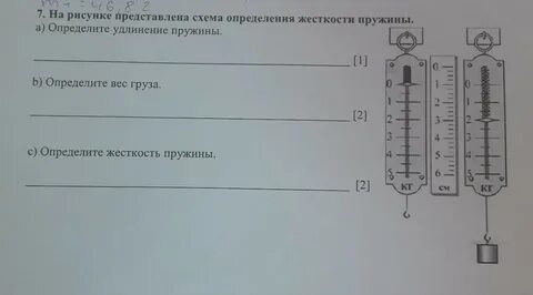 Лабораторная по физике 7 класс динамометр