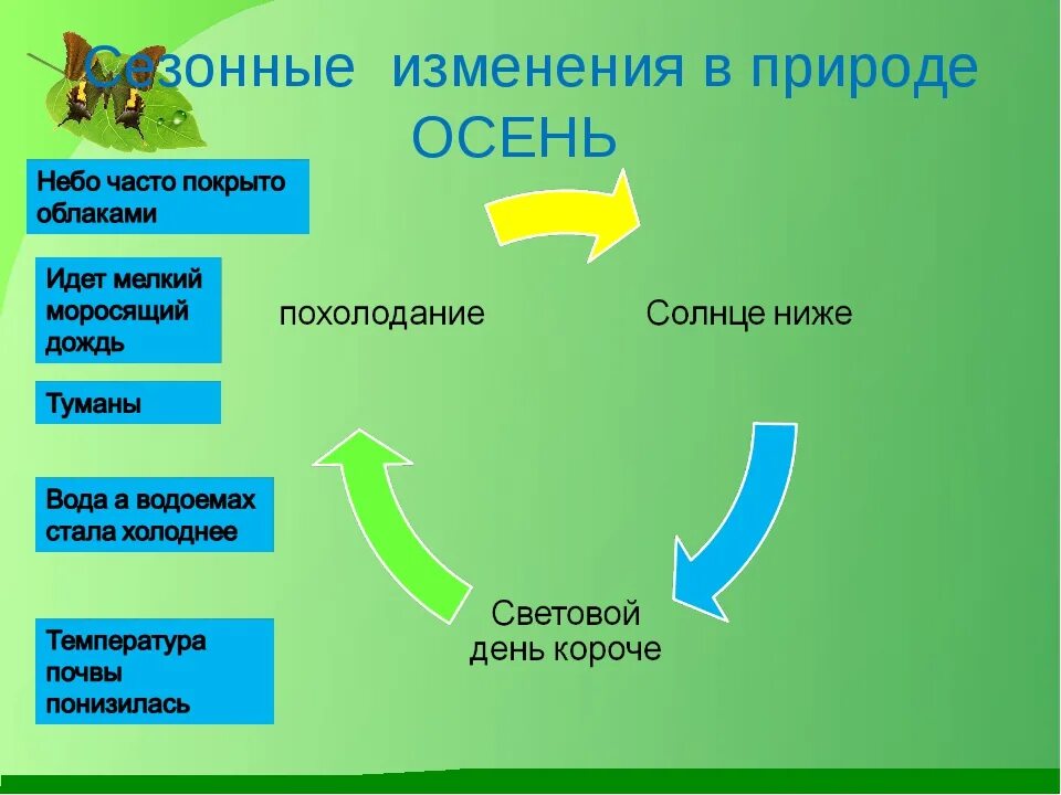 Сезонные изменения в жизни организмов краткий пересказ. Сезонные изменения в природе летом. Осенние изменения в природе. Сезонные изменения в природе осень. Причины осенних изменений в природе.