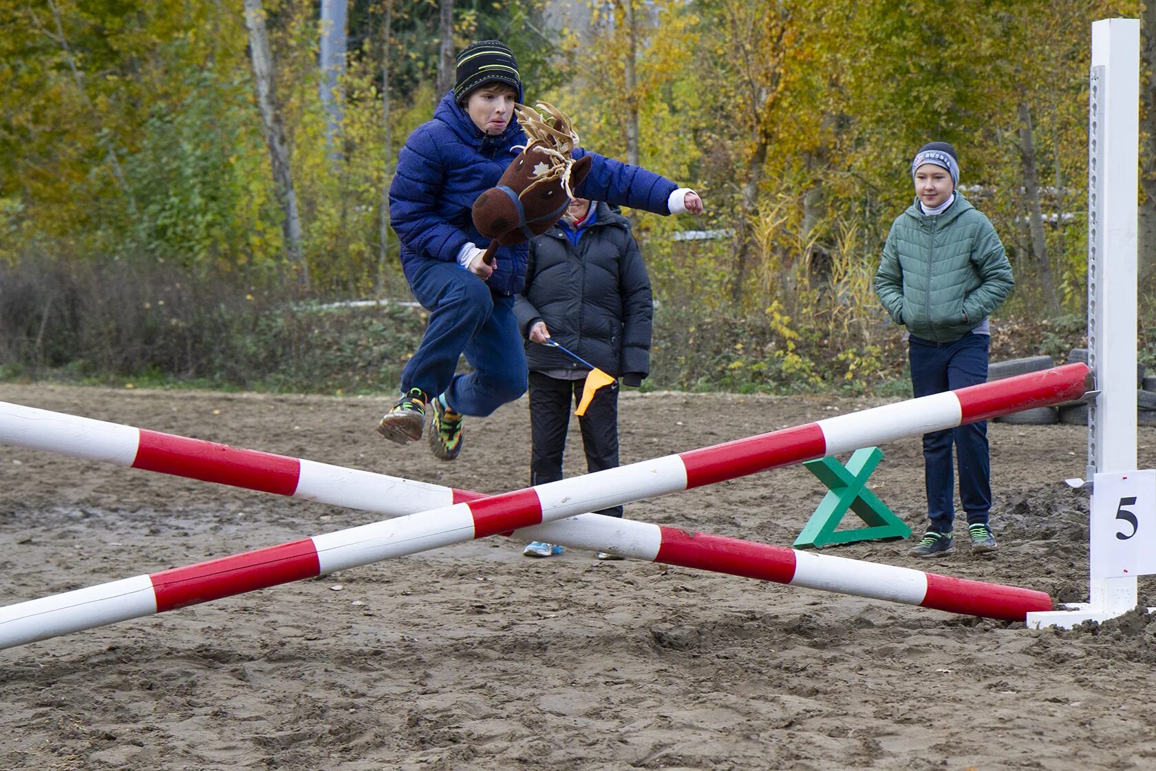 Хоббихорстинг