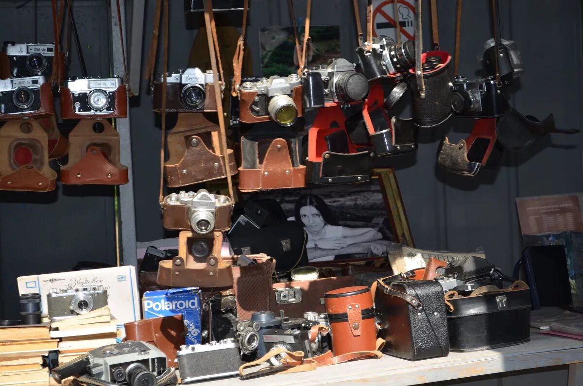 Кафе лето витино. М марьина роща на карте. 4-я улица марьиной рощи, 12/1. Книжная ярмарка в краснодаре в чистяковской роще. Рынок роща.