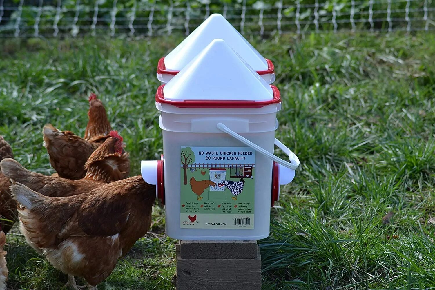 Кормушка для несушек. Кормушка для кур. Кормушка для куриц. Удобные кормушки для кур. Кормушка для несушек.