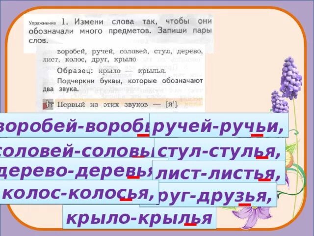 Слова которые обозначают много предметов. Изменение слов по образцу. Перо изменить слово так чтобы обозначали несколько предметов. Что такое изменение слова в русском языке 2 класс.