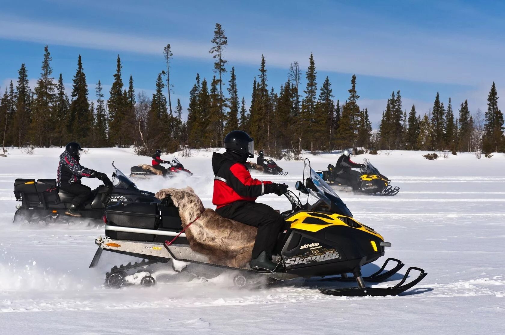 Snowmobile ru снегоходный. Северное сафари Кировск. Туристический снегоход. Поездка на снегоходе. Тур на снегоходах.