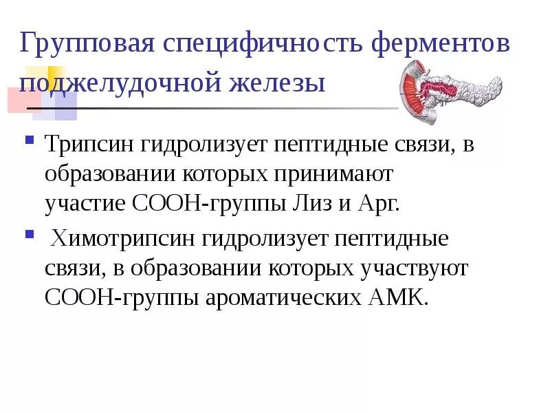 Химотрипсин расщепляет пептидные связи. Трипсин гидролизует. Специфичность трипсина. Химотрипсин гидролизует пептидную связь.