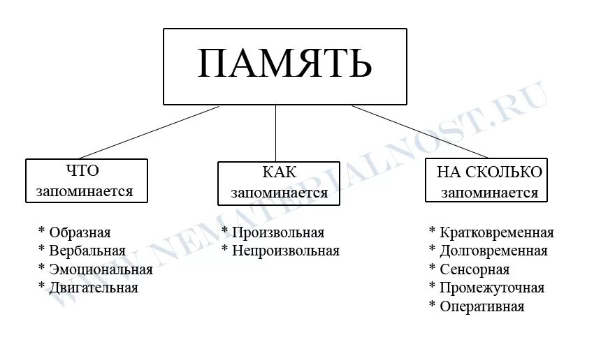 Память формы виды памяти. Процессы памяти в психологии схема. Виды памяти в психологии таблица. Классификация видов памяти схема. Классификация основных видов памяти таблица.