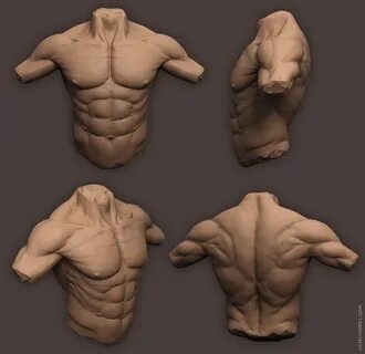 1 2 3 body