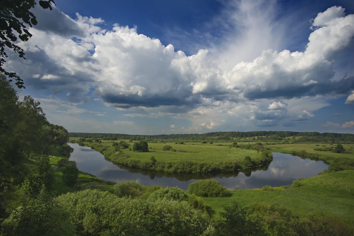 Псковская обл фото. Река сороть псковская область. река сороть в пушкинских горах. река сороть. река сороть новоржевский район.