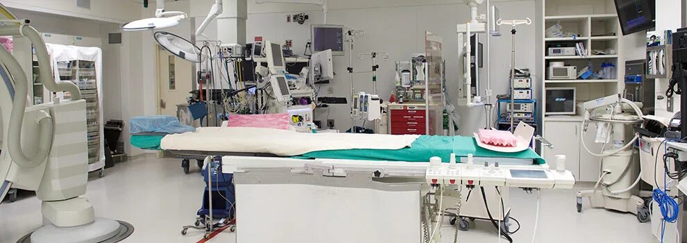 Watch dogs 2. Main operation. Main operation. Watch dogs 2 алькатрас. Стенд made in heaven yba.