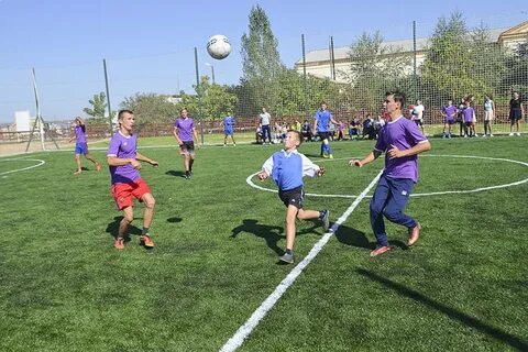 Красный октябрь алексеевский волгоградская область