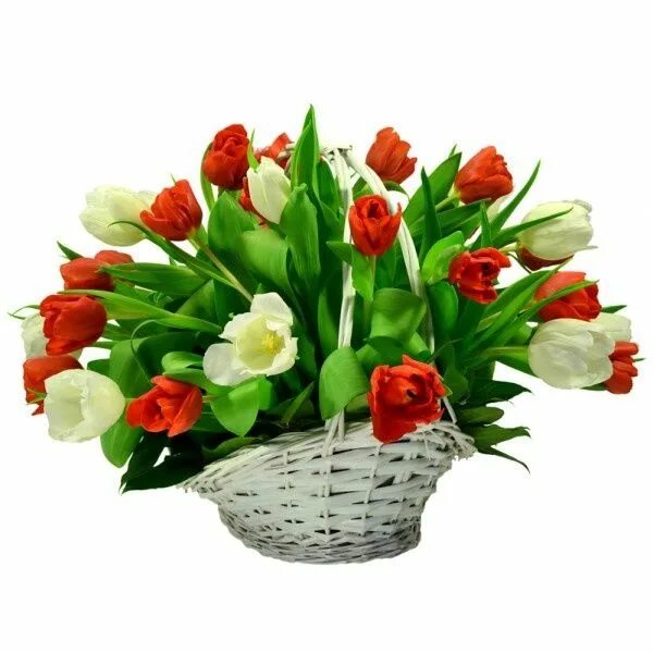К чему дарят красные тюльпаны. Корзина с тюльпанами. Цветы тюльпаны. Букет красных тюльпанов в корзине. Корзина красных тюльпанов.