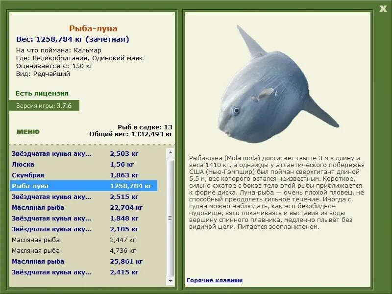 Максимальный вес фотографии. Максимальный вес морской рыбы. Луна рыба конспект Подробный. Максимальный вес рыб