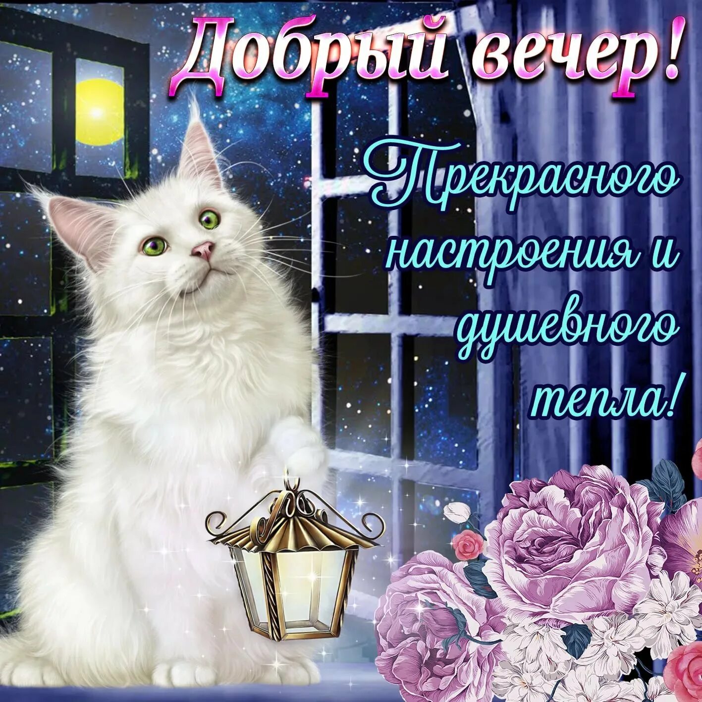 Хорошего вечера значение