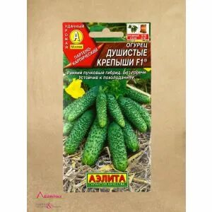 Северен огурец отзывы