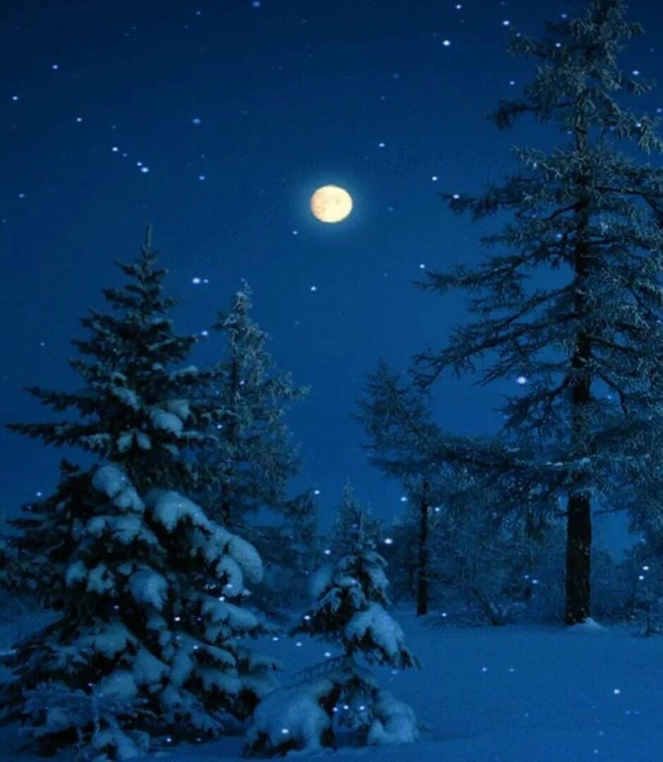 Спокойной ночи красивая зимняя ночь. Зима ночь. Ночь зимой. Зимний лес ночью. Лунная ночь зимой.