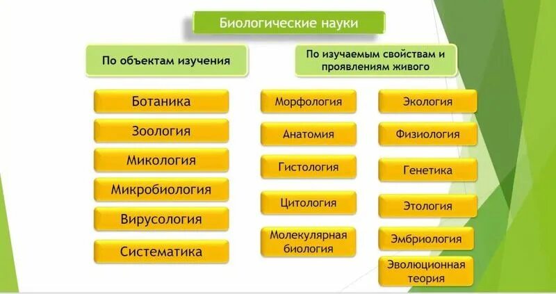 Признаки науки биологии. Биологические дисциплины. Науки биологии. Биологические науки по объекту изучения. Разделы биологии.