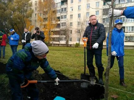 Новости колпино