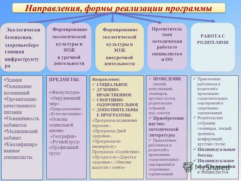 Формы реализации программы. Формы реализации программы