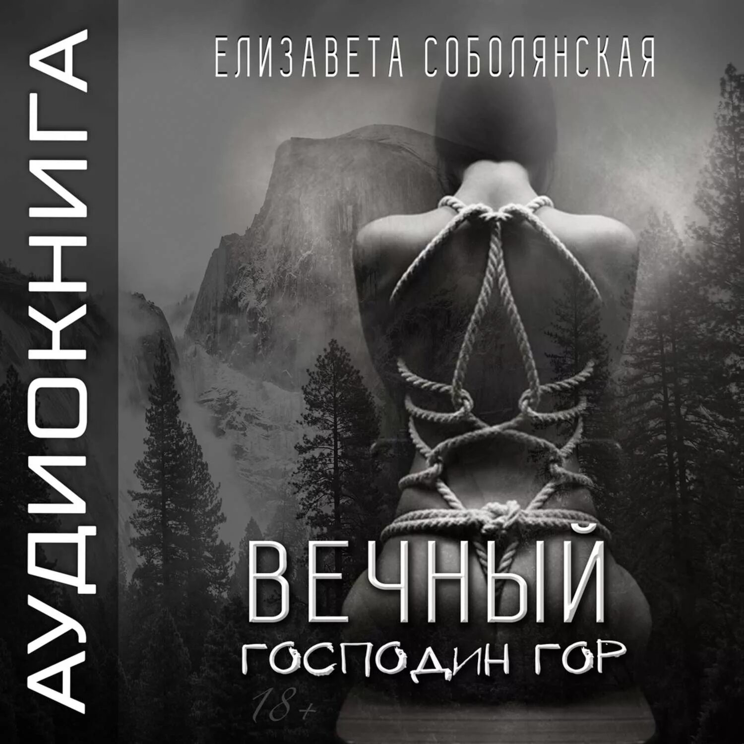 Вечный 3 аудиокнига слушать. Злотников вечный. Аудиокниги боевики. Слушать аудиокниги warhammer fantasy. Вечный 3 аудиокнига слушать.