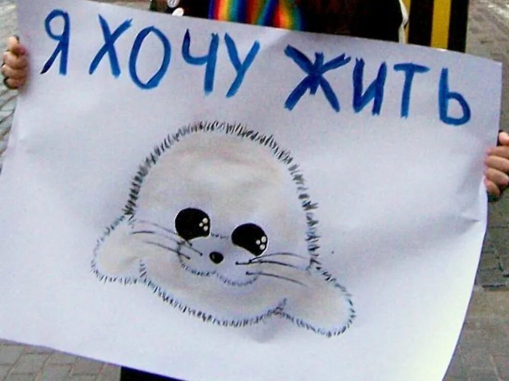 Плакат ко дню защиты животных. Защита животных рисунок. день защиты животных плакат. плакат не убивайте животных. плакат на тему защита животных.
