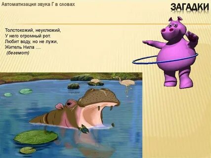 Загадка рот