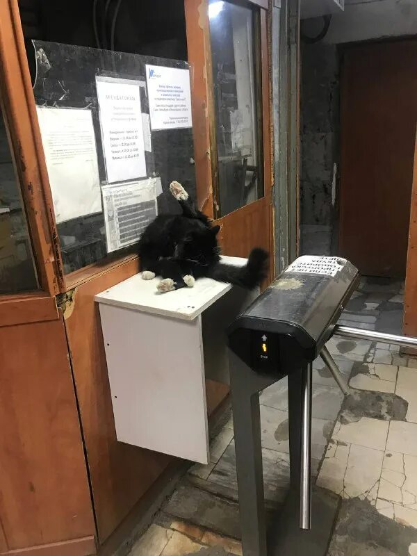 Дежурный вахтер. Сторож вахтер. Требуются сторожа. Требуются сторожа. Вахтер на проходную вакансии.