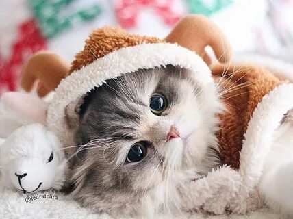 Новые милые картинки